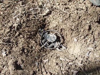 2) Bed the trap into the excavated area firmly.