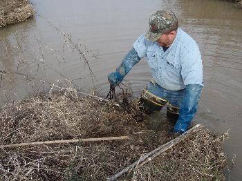 Making a mock beaver castor mound set.