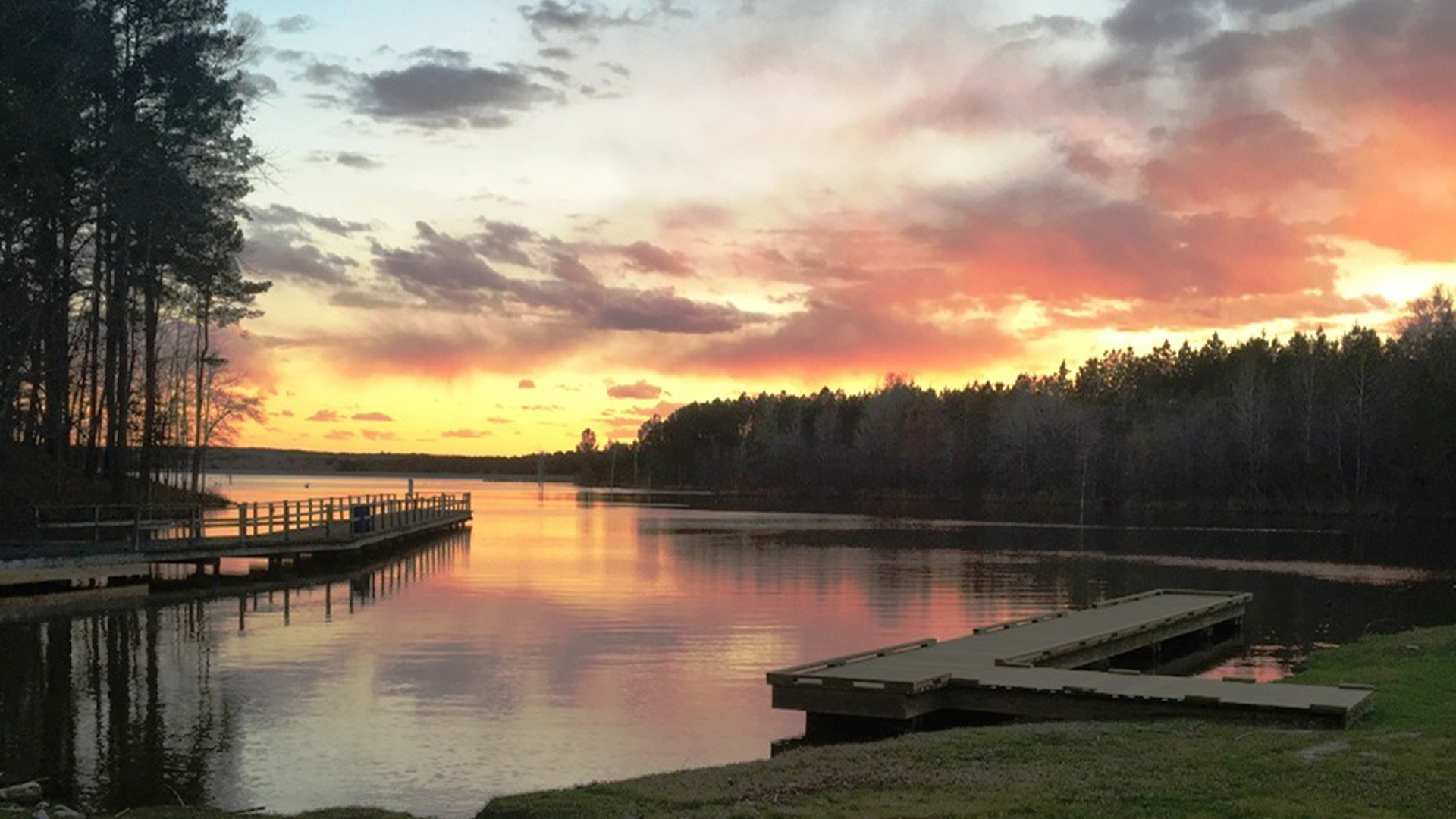 Calling Panther Lake