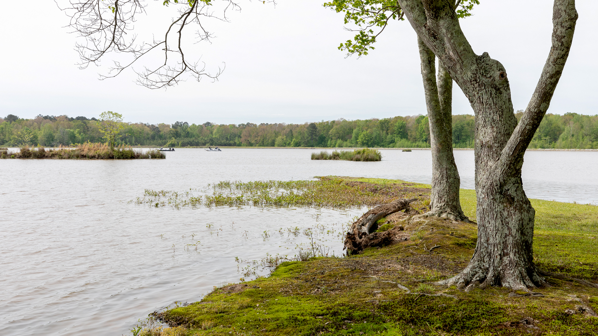 Neshoba Lake