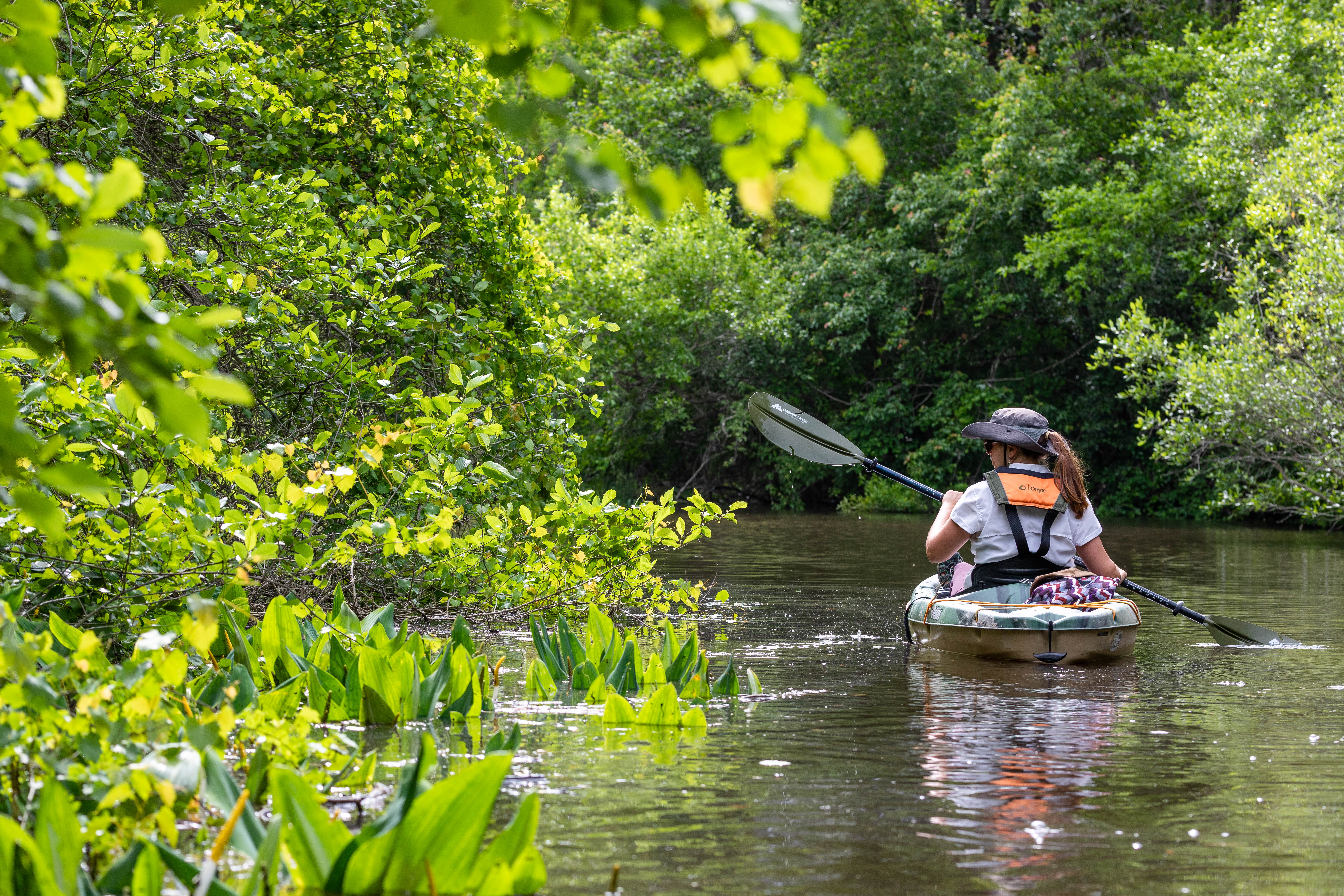 Person padding a kayak on a river