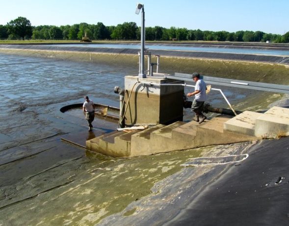 Pond harvest at Bob Tyler Fish Hatchery