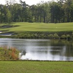 Dogwood Course image 1