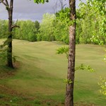 Dogwood Course Image 2