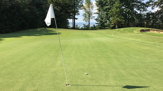 Hole with flag at The Dogwoods golf course