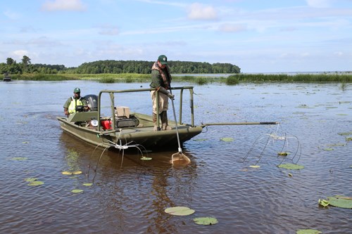 electro fishing