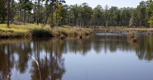 Land Between The Creeks