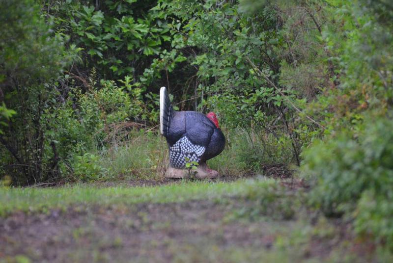 Turkey target at McHenry Range