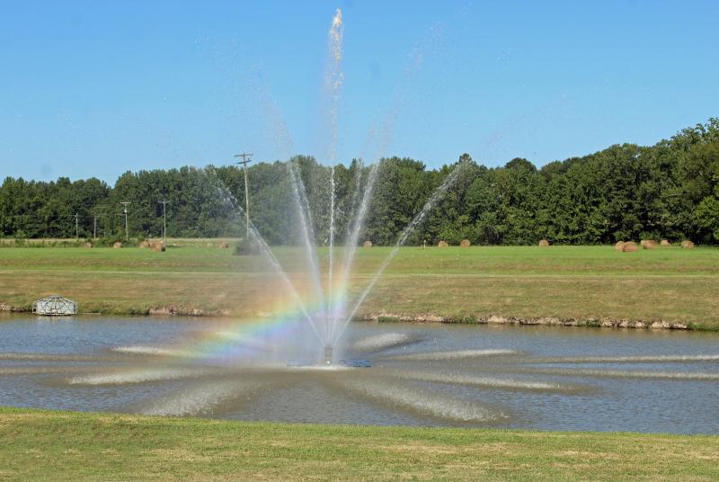 Fountain at the Bob Tyler Fish Hatchery Visitor Education Center