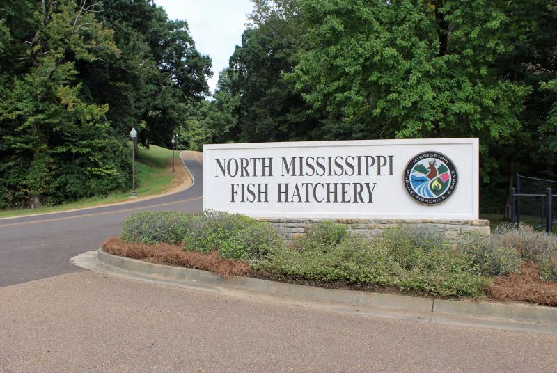 North Mississippi Fish Hatchery sign