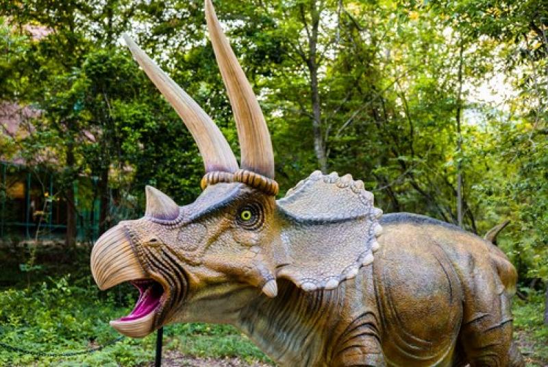 Triceratops statue