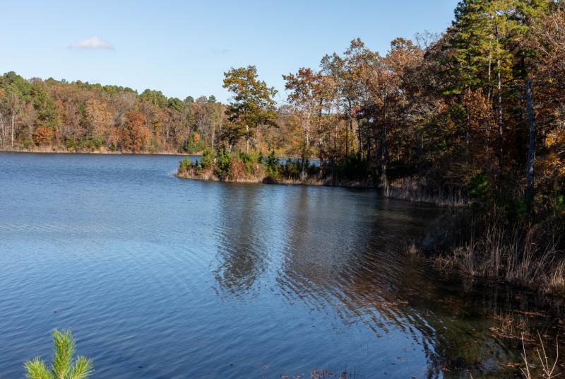 Holmes Lake Fish Stocking