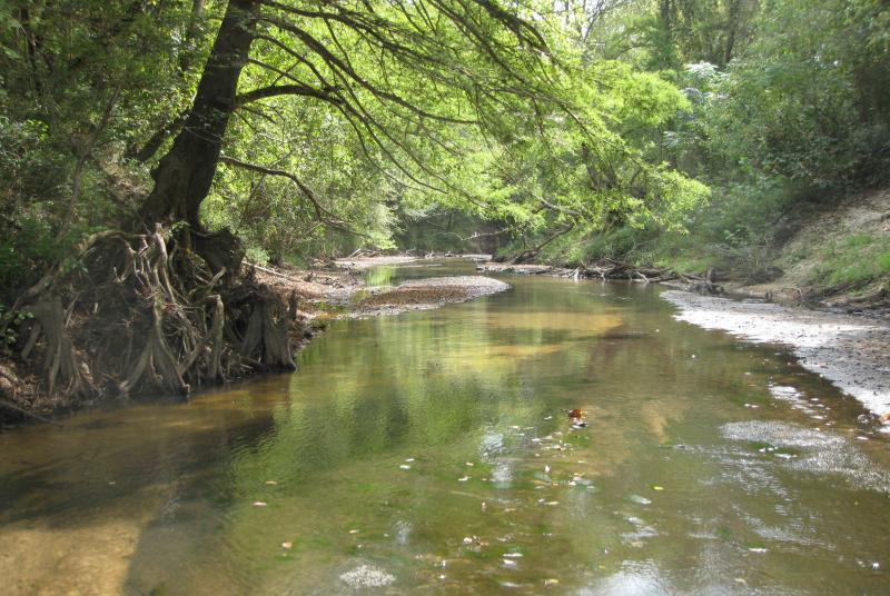 Leaf River