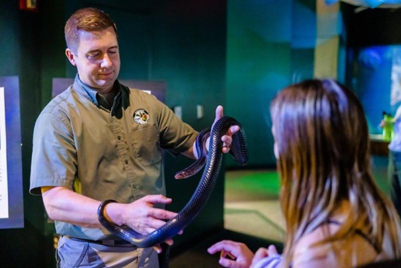 Snake handler showing a woman a snake