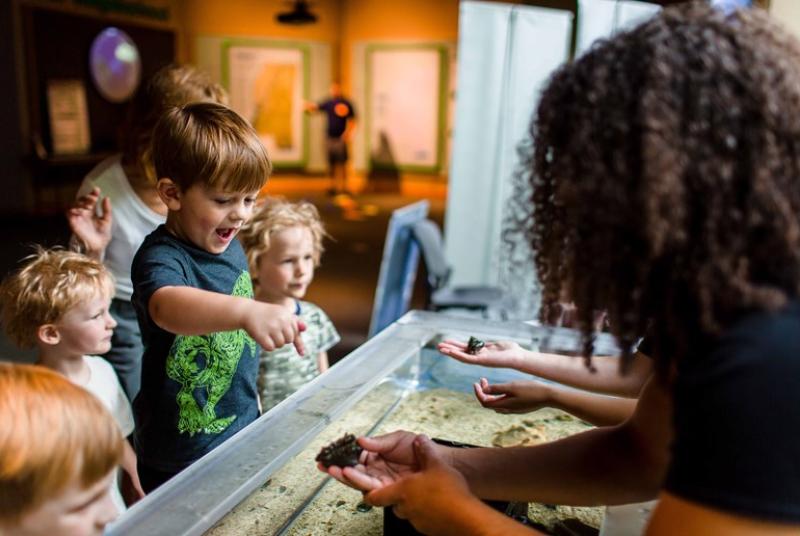 Kids watching a museum exhibit, excited