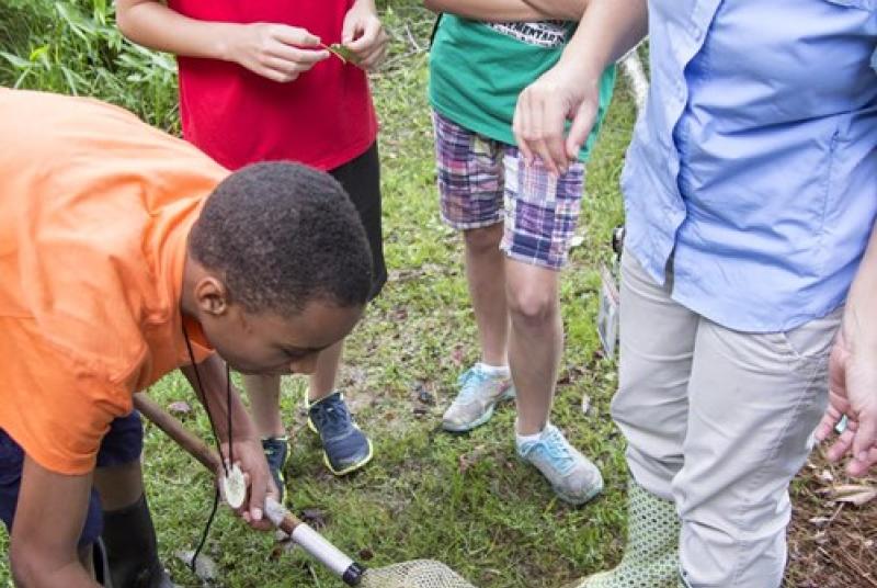 kids outside at camp