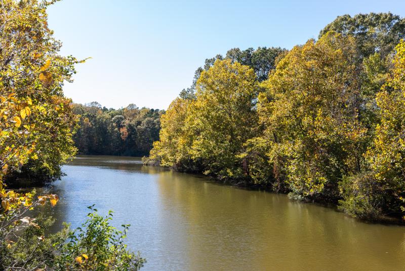 Bob M. Dearing Natchez State Park | Mississippi Department of Wildlife ...