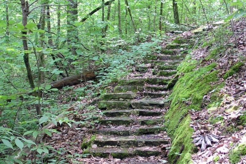 Nature Trail Steps