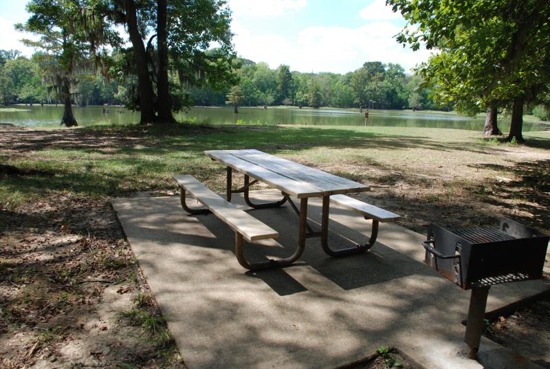 Picnic Area