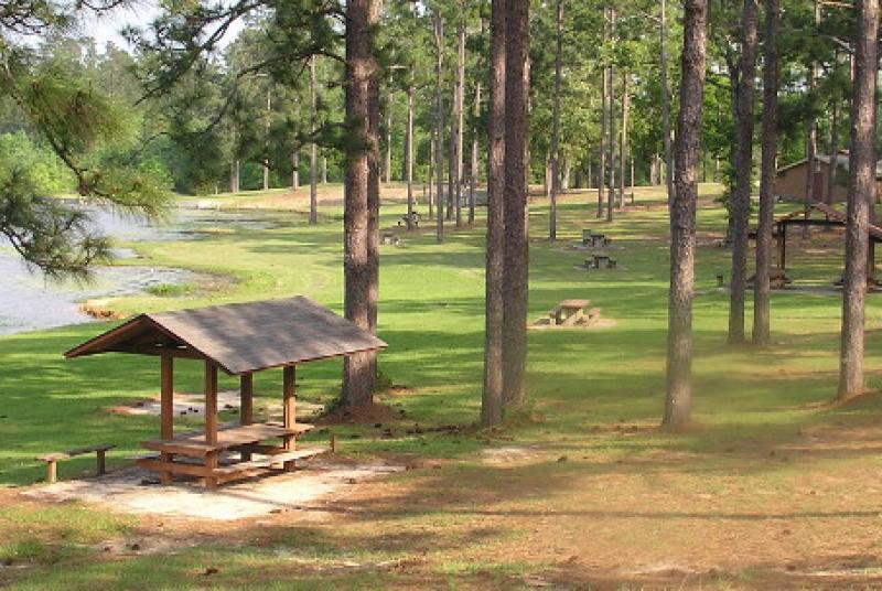 Picnic Area