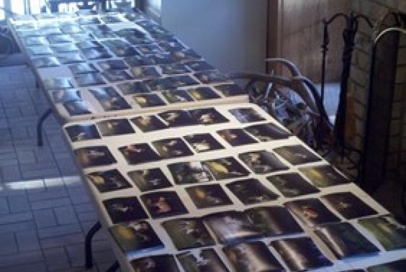 Stacks of individual buck photos from a camera survey on a property in Hancock County