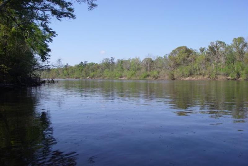 Pascagoula River2