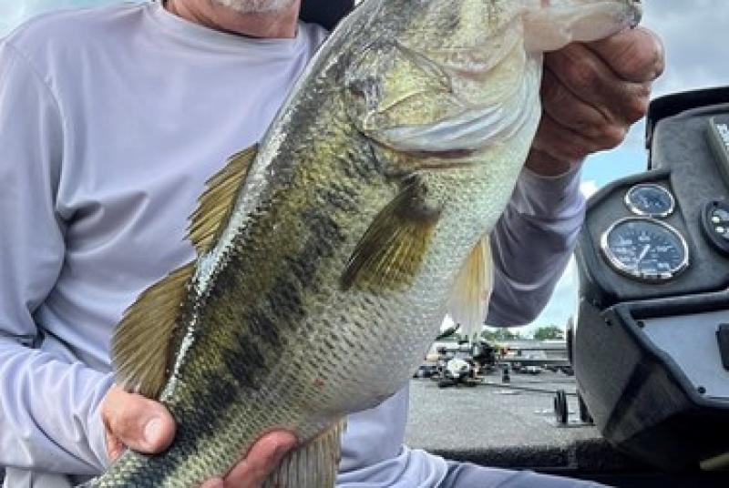 Neshoba Bass 2